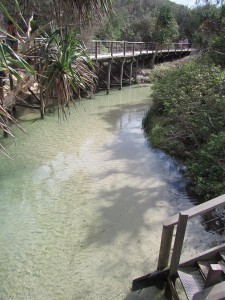 Fraser Island-075